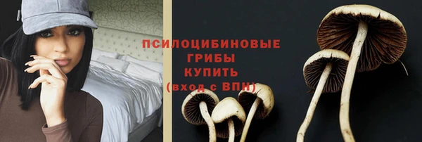 мет Абинск