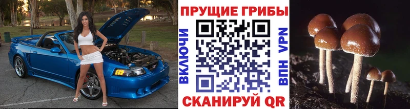 Галлюциногенные грибы мицелий Новое Девяткино